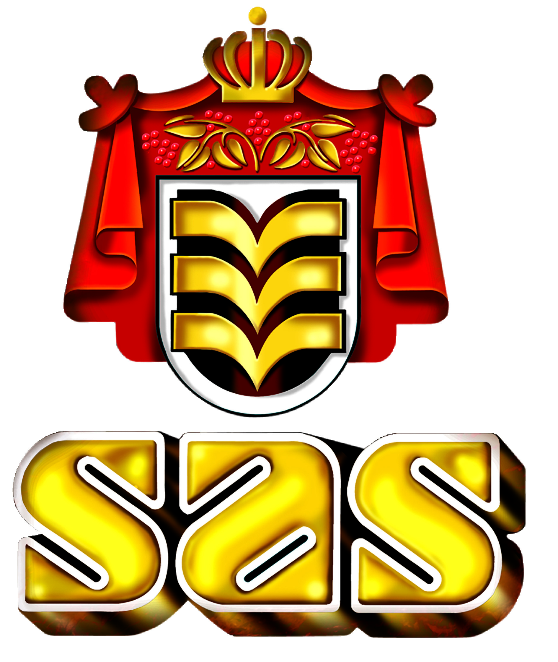 Logo Sas NV